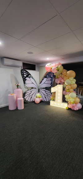 Butterfly backdrop hire Adelaide for birthday photos