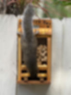 Royal Palm Green Market and Bazaar