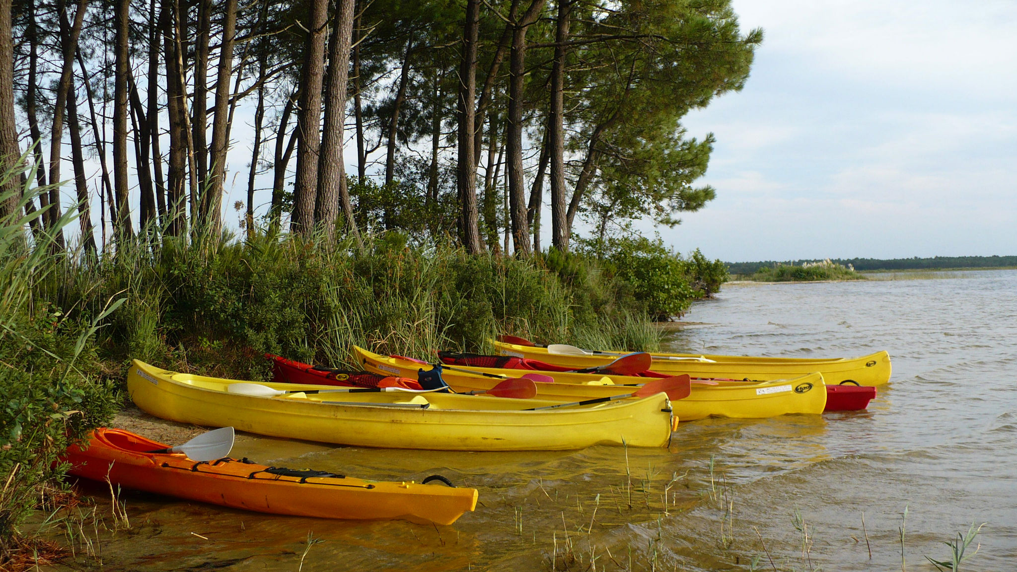 Canoë Kayak Lacanau