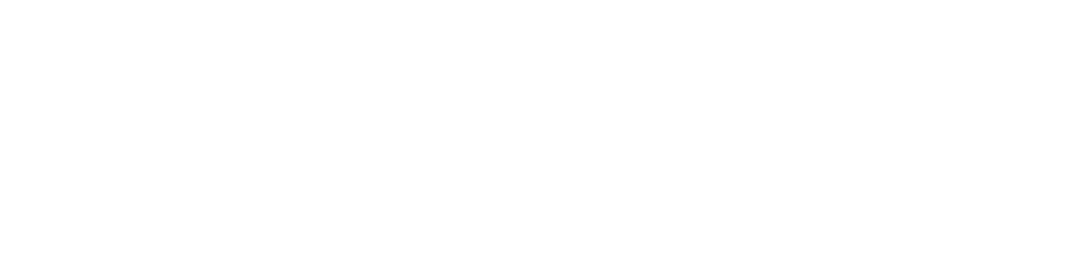 aka-brands-princess-polly-logo.png.webp