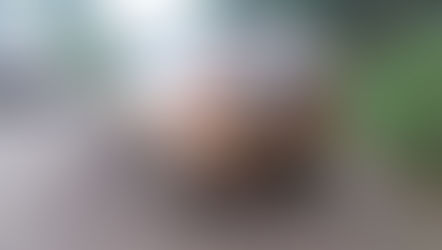 Localizado em Água Doce carro utilizado em explosão de caixa eletrônico