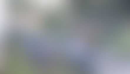 Após denúncia do Minha Água Doce: Prefeitura culpa governo estadual por matagal na Delegacia