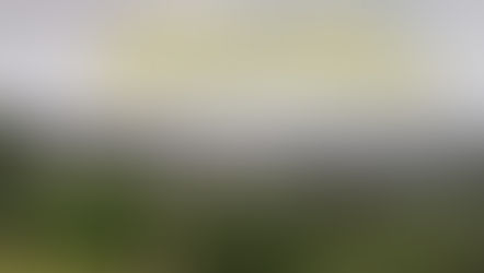 Vídeo: Água Doce realiza Dia D contra a Dengue neste sábado (20)