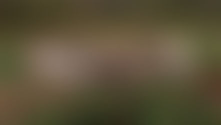 Motorista fica gravemente ferido em acidente na SC 355 em Água Doce