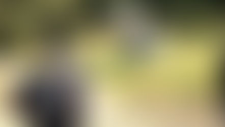 Polícia Civil invade base de quadrilha especializada em roubos na região e bandido é morto em troca