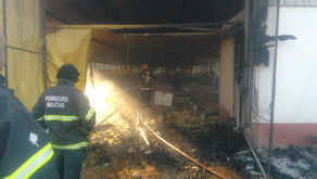 Incêndio destrói aviário no interior de Água Doce e mata 14 mil aves