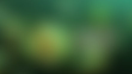 Água Doce chega a 233 infectados por Covid-19 - 11 casos ativos