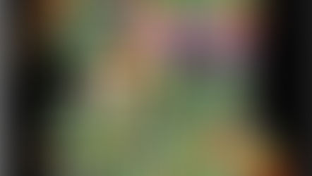 Especial: Carnaval Joaçaba - Saiba tudo sobre a Unidos do Herval (Ouça o Samba Enredo!)