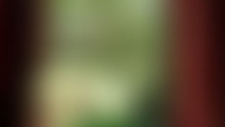 Conheça os vencedores do Concurso Fotográfico - Água Doce sob um novo Foco 2016