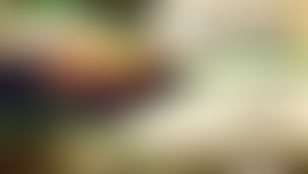 Sindicato Rural de Água Doce realiza Leilão de Novilhas e Reprodutores