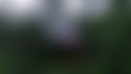 Acidente na Roça Grande, em Água Doce