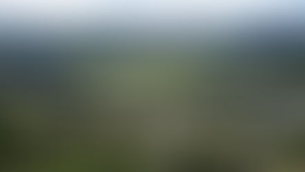 Água Doce não planeja shows em seu aniversário de 62 anos e aulas retornam em 3 de agosto