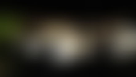 Tragédia: Jovem com Voyage com placas de Água Doce e mais 2 morrem em acidente