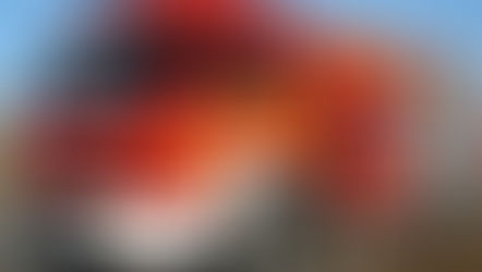 Rápida ação dos bombeiros evita que fogo em vegetação atinja frigorifico em Água Doce