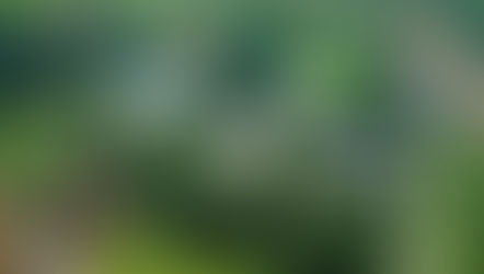 CEDUP Água Doce realiza testes e seleciona 70 alunos para curso agropecuário