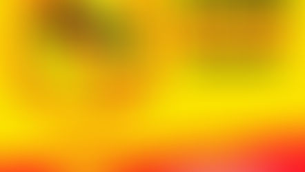 Vídeo: Saúde de Água Doce encontra pela primeira vez 5 focos do mosquito da Dengue