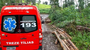 Homem de 38 anos morre com queda de árvore em Treze Tílias