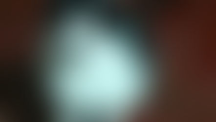 Moradora do Paiol de Telhas busca o gatinho "Nego"