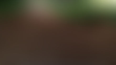 Agricultor reclama de situação de estrada do interior de Água Doce e secretário de infraestrutura es