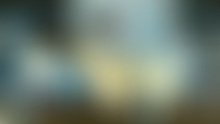 Leilão Charolês do Contestado fatura R$ 883 mil em Água Doce