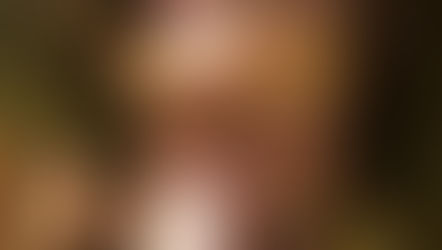 Porca dá à luz a 34 leitões em propriedade em Água Doce