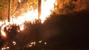 Bombeiros da região tentam há 25h combater grande incêndio em Herciliópolis