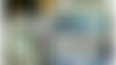 Judô de Água Doce conquista três ouros em Campeonato Regional e conquista vagas para o Meeting Sul-b