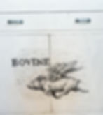 FLYING PIG ***SOLD***