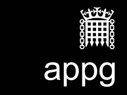 APPG - sustainability and ethics in fashion