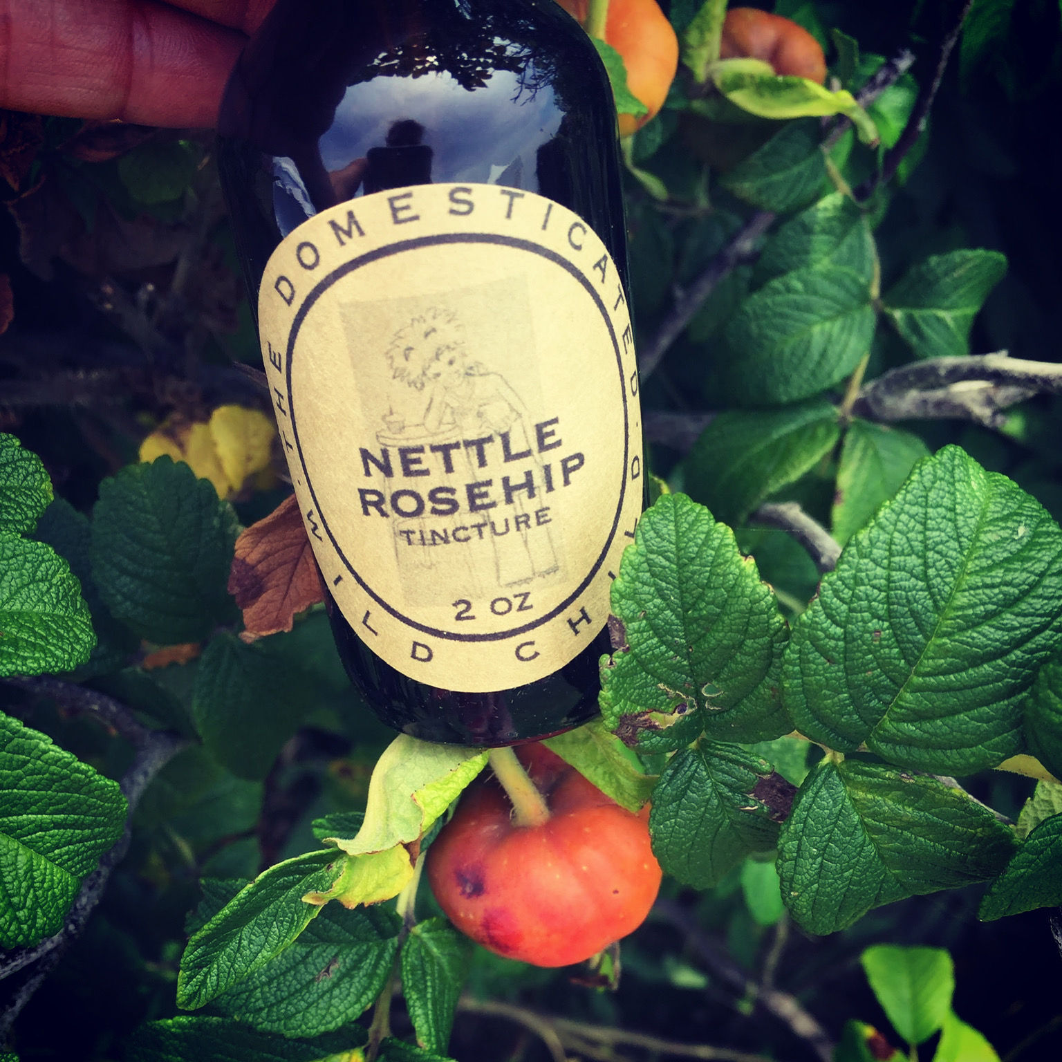 Nettle Rosehip Extract 2oz (60ml)