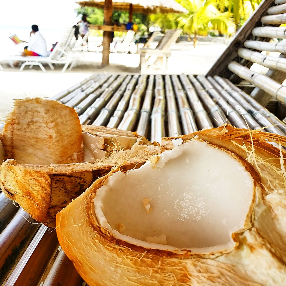 Coconut by the beach