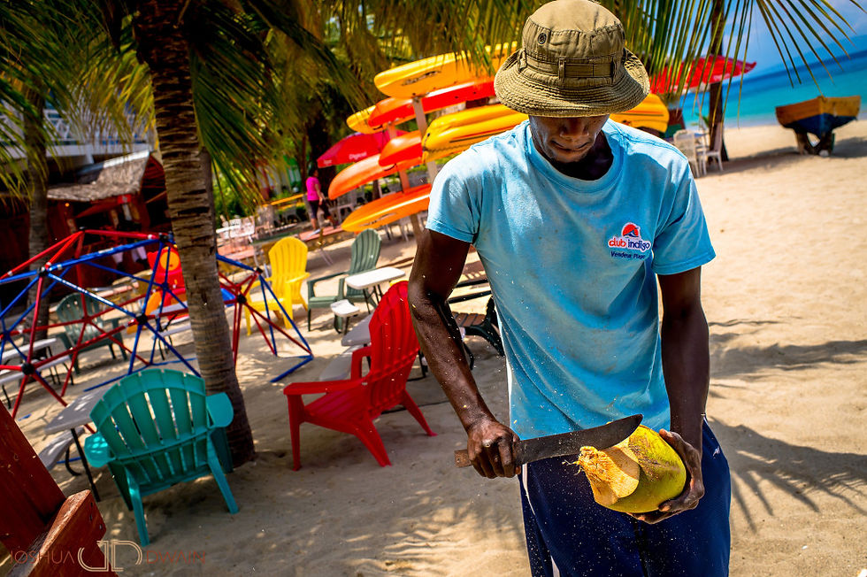 Coconut by the beach
