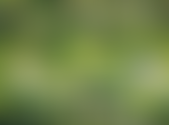 Transition écologique : Comment le CSE devient un acteur clé de la stratégie RSE ?