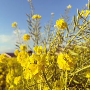 それは地続きに
