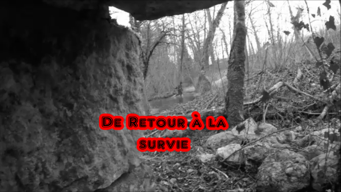 "Retour à la survie"