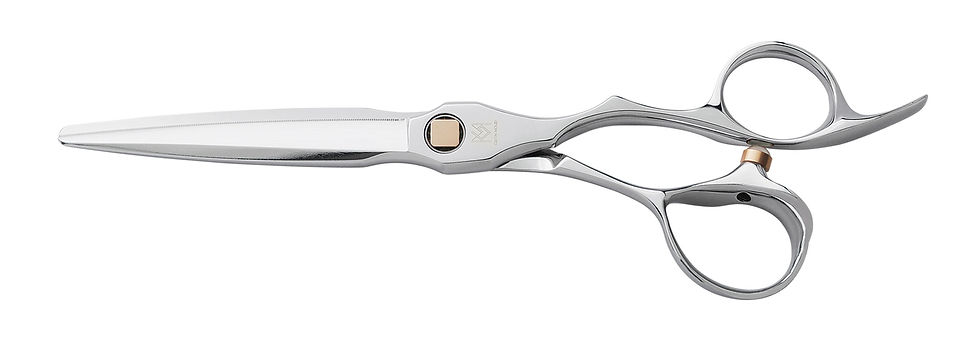 תמונה ממוזערת: ROCA