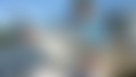 Biscayne Bay Summer Fishing