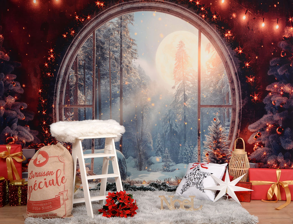 décor de noël pour vos photos de famille