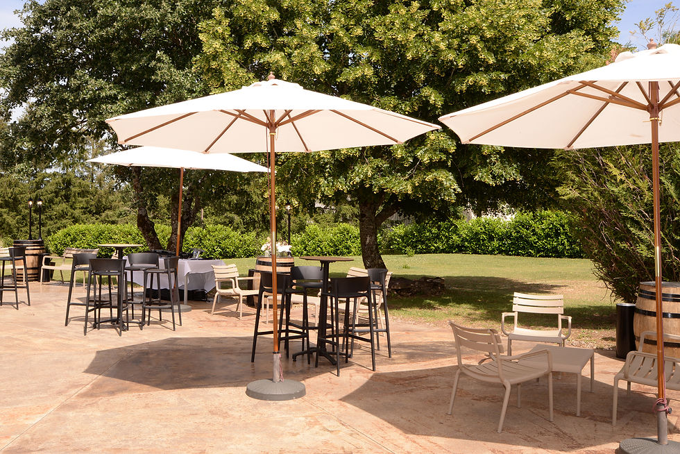 Espace vin d'honneur et terrasse extérieure aménagée sous des parasols au domaine de La Combe d'Été.