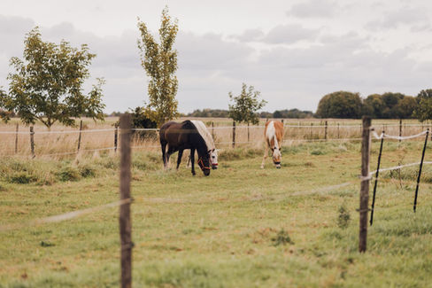 Freie Traurednerin Freie Trauung Ehrenworte Lisa Schalles Bergheim Köln NRW Hochzeit Willkommensfest Freie Taufe