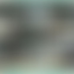 Кто такой коуч-лидер? В чем его сила? И как им быть?