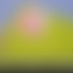 Как планировать бюджет