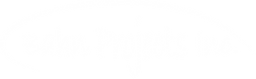 Bahn Project.png