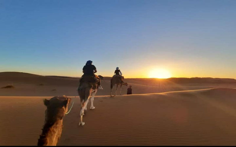 Camel trek across Sahara desert at sunset