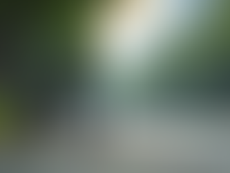 Unveiling the Power of Superbikes in Singapore