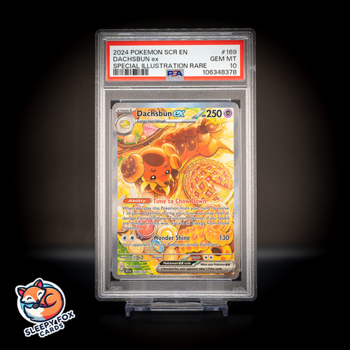 169 142 pokemon card 2024 Pokemon Stellar Crown Dachsbun ex Special Illustration Rare CGC 10 169/142