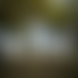 Arroyo: Villa Phi Delta