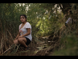 Welcome to the River