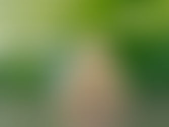 Tempulli dhe Dita e Tokës - Kur edukimi bëhet forcë për të shpëtuar planeti