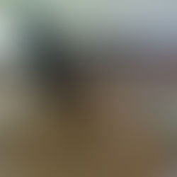 Ekipi i Kolegjit Tempulli në përgatitje finale për workshopin për trajnim të trajnerëve në Ljubljana në kuadër të projektit Erasmus+ 